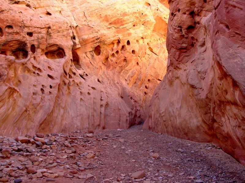 04160302LittleWildHorse (1079)